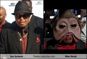 Joe Jackson Totally Looks Like Nien Nunb