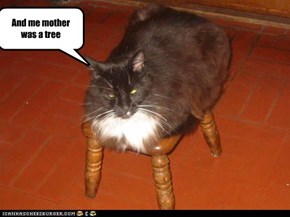 And me mother was a tree