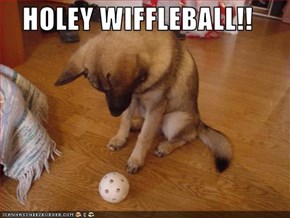 HOLEY WIFFLEBALL!!