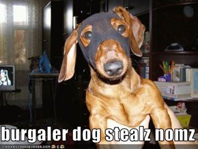 burgaler dog stealz nomz