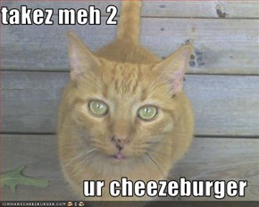 takez meh 2   ur cheezeburger