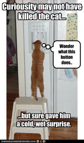 Wonder what this button does..