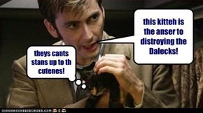 this kitteh is the anser to distroying the Dalecks!