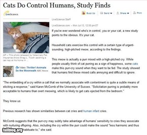 Cats Do Control Humans, Study Finds