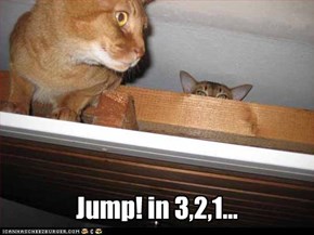 Jump! in 3,2,1...