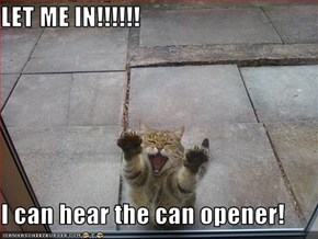 LET ME IN!!!!!!  I can hear the can opener!