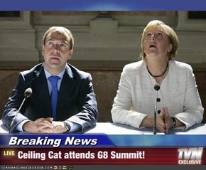 Breaking News - Ceiling Cat attends G8 Summit!