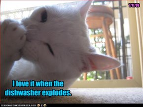 I love it when the dishwasher explodes.