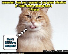 remember,  how  you  respond  to  any  given  situation   is  YOUR  choice , nobody else's ---Firecat