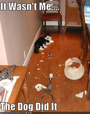 It Wasn't Me....  The Dog Did It