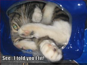 See...I told you I fit!