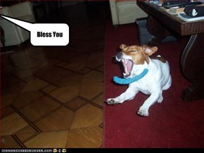Bless You