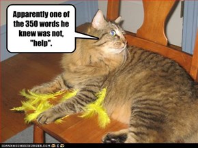 Apparently one of the 350 words he knew was not, "help".