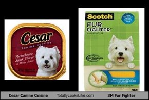 Cesar Canine Cuisine Totally Looks Like 3M Fur Fighter