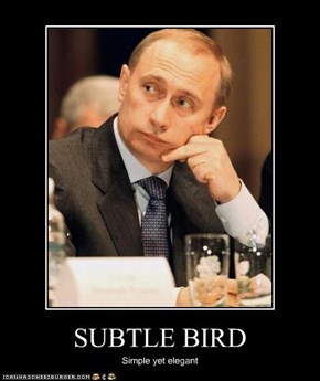 SUBTLE BIRD
