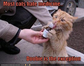 Most cats hate medicine...  Doobie is the exception