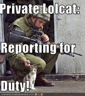 Private Lolcat: Reporting for Duty!