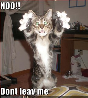NOO!!  Dont leav me