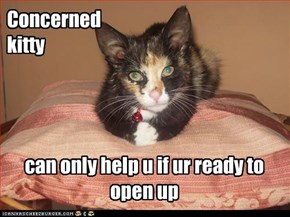 Concerned  kitty