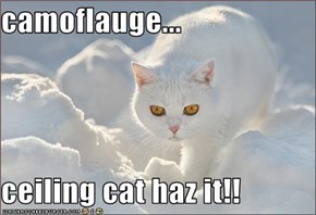 camoflauge...  ceiling cat haz it!!