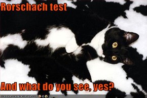 Rorschach test  And what do you see, yes?