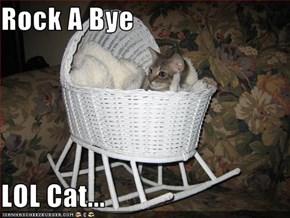 Rock A Bye   LOL Cat...