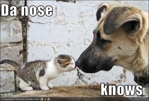 Da nose  knows