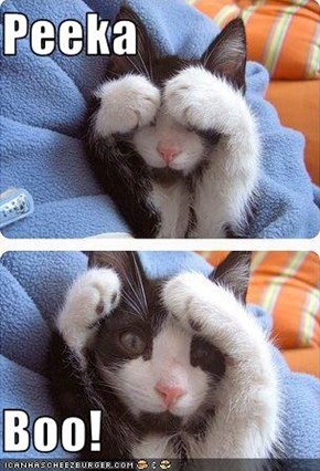 Peeka  Boo!