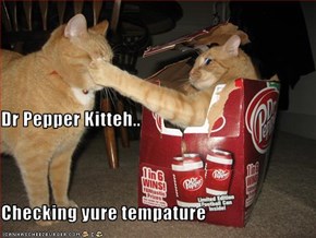 Dr Pepper Kitteh.. Checking yure tempature