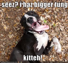 seez? i haz bigger tung than  kitteh!