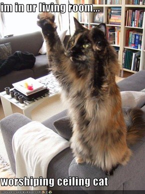 im in ur living room...  worshiping ceiling cat