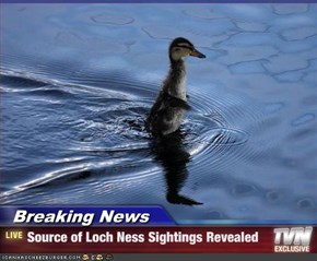 Breaking News - Source of Loch Ness Sightings Revealed