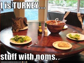 I is TURKEY....  stuff with noms.