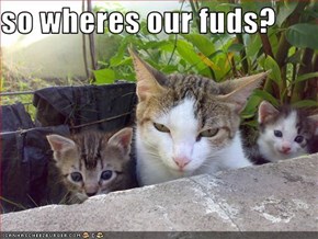 so wheres our fuds?