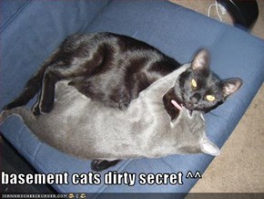 basement cats dirty secret ^^