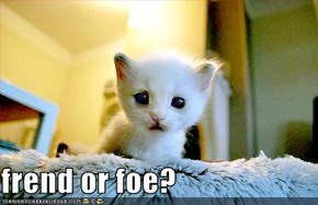 frend or foe?
