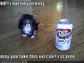 NO!! i not tiny lil kitty  may you take this xxl can? i scaree