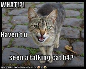 WHAT!?! Haven't u seen a talking cat b4?