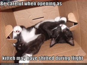 Be careful when opening as  kitteh may have shifted during flight