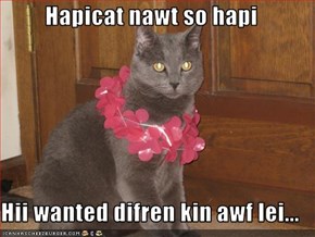 Hapicat nawt so hapi  Hii wanted difren kin awf lei...