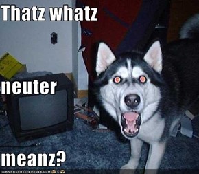 Thatz whatz neuter  meanz?