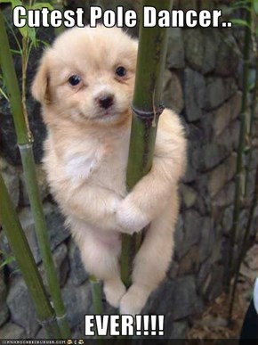Cutest Pole Dancer..  EVER!!!!