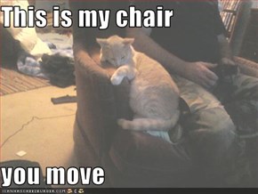 This is my chair   you move