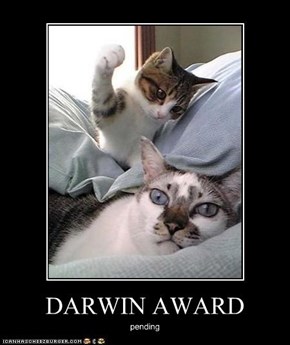 DARWIN AWARD