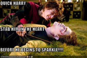 QUICK HARRY STAB HIM IN THE HEART BEFORE HE BEGINS TO SPARKLE!!!!
