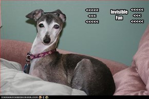 Invisible Fan