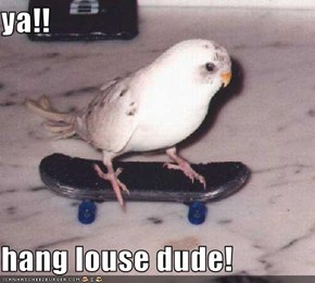 ya!!  hang louse dude!