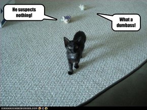 He suspects nothing!
