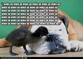 "...wake up wake up wake up wake up wake up wake up wake up wake up wake up wake up wake up wake up wake up wake up wake up wake up wake up wake up wake up wake up wake up wake up wake up wake up wake up wake up wake up wake up wake up wake up wake up wak