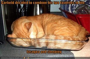 Garfield decided to combine his two favorites in life:  lasagna and sleeping